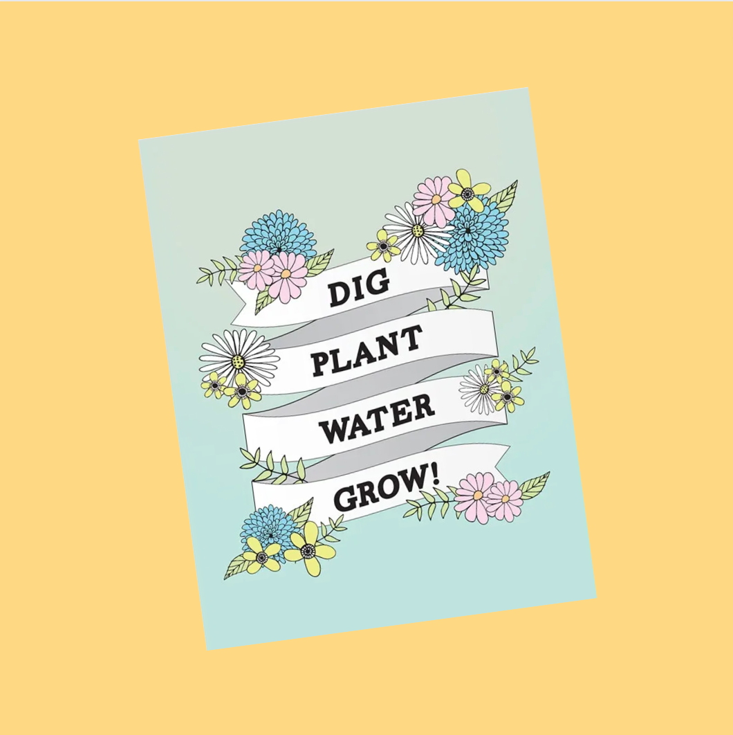 Dig, Plant, Water, Grow Seeds